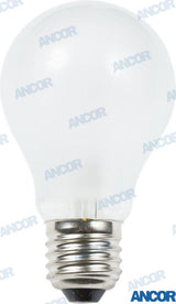 BULB 12V 50W | OEM  531050 | BULBS |