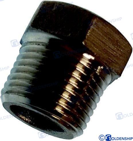 HEX HEAD PLUG  AISI 316   2" | OEM  30586 | HULL | GOLDENSHIP