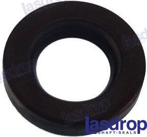 SPARE SEAL 1" | OEM  100 | ANODES | LASDROP