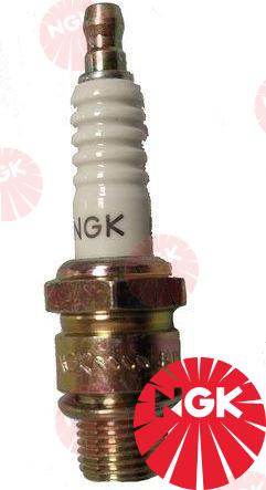 SPARK PLUG | OEM   | SPARK PLUGS | NGK