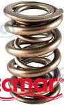 VALVE SPRING | OEM  21310068 | VALVE | RECMAR