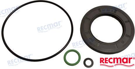 GASKET SET LOWER UNIT DPH | OEM  23019 | DPH-A, B, C, D DDPR-A DPRB, C, D | RECMAR