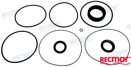 SEAL KIT LOWER UNIT XDP | OEM  23025 | SEALS | RECMAR