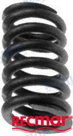 VALVE SPRING | OEM  418737 | VALVE | RECMAR