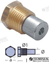 ANODES WITH PLUG SERIE BOILER ½” BSPT | OEM  01451 | ANODES | TECNOSEAL