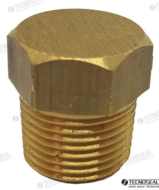 PLUG BRASS FOR ANODE ONAN | OEM  02031TP | ANODES | TECNOSEAL