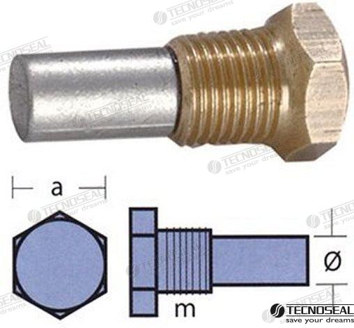 ANODE BUKH W/TAP | OEM  02053T | ANODES | TECNOSEAL