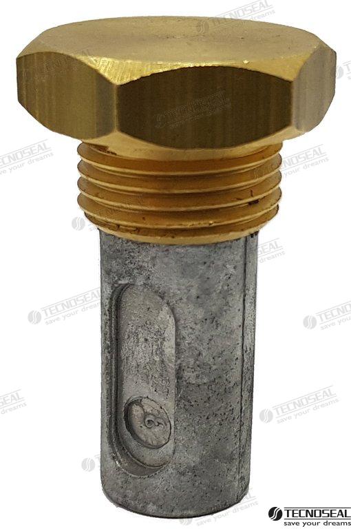 ANODE RENAULT C/TAP | OEM  02090T | ANODES | TECNOSEAL