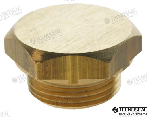 TAP FOR BOUDOUIN D.20 | OEM  02300TP | ANODES | TECNOSEAL