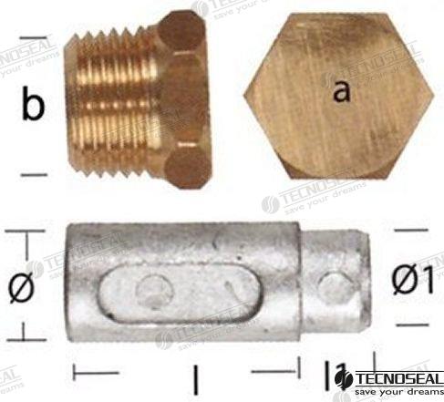 ANODE LOMBARDINI W/TAP | OEM  02350T | ANODES | TECNOSEAL