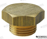 TAP ANODE LOMBARDINI | OEM  02353TP | ANODES | TECNOSEAL